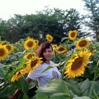 ������� ���� ���������� 