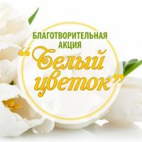 �������� ������ �����!�  