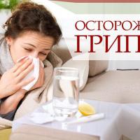 ������������ ������ � ����