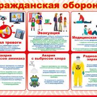 ����! ����! ���� �����!