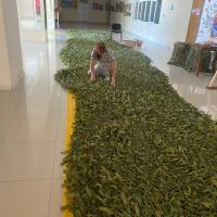 �������������� ����� ������ ������