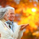 ���� �������� ��������