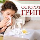 Профилактика гриппа и ОРВИ Профилактика гриппа и ОРВИ